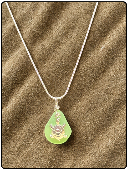 Sea Glass & Turtle